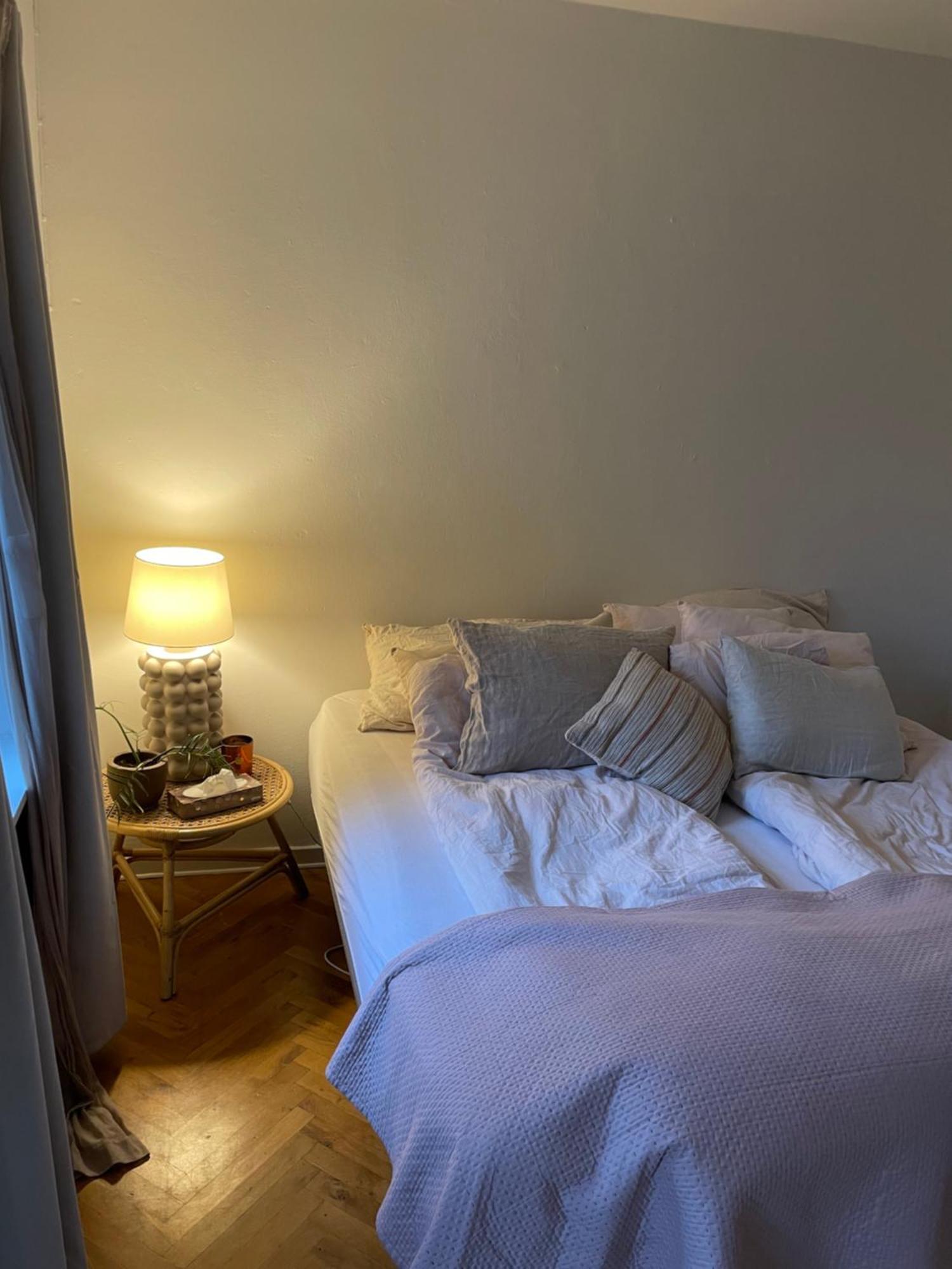 Central Lejlighed Med Udsigt Til Parken Odense Ngoại thất bức ảnh